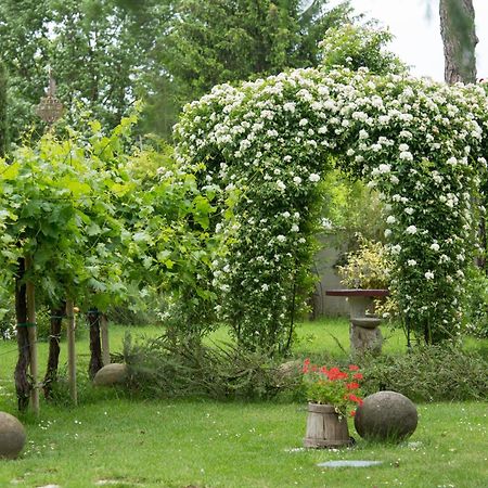 Ca'Bevilacqua Bed&Breakfast Bertinoro Buitenkant foto
