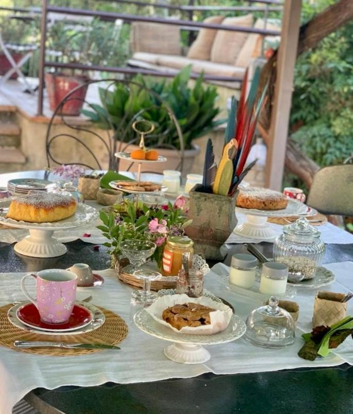 Ca'Bevilacqua Bed&Breakfast Bertinoro Buitenkant foto