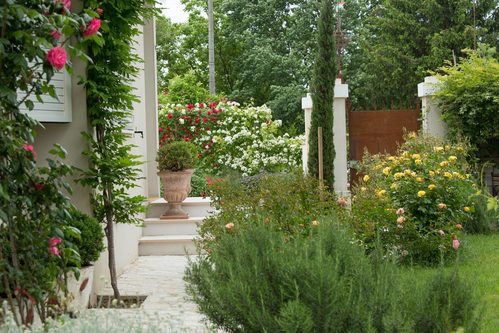 Ca'Bevilacqua Bed&Breakfast Bertinoro Buitenkant foto