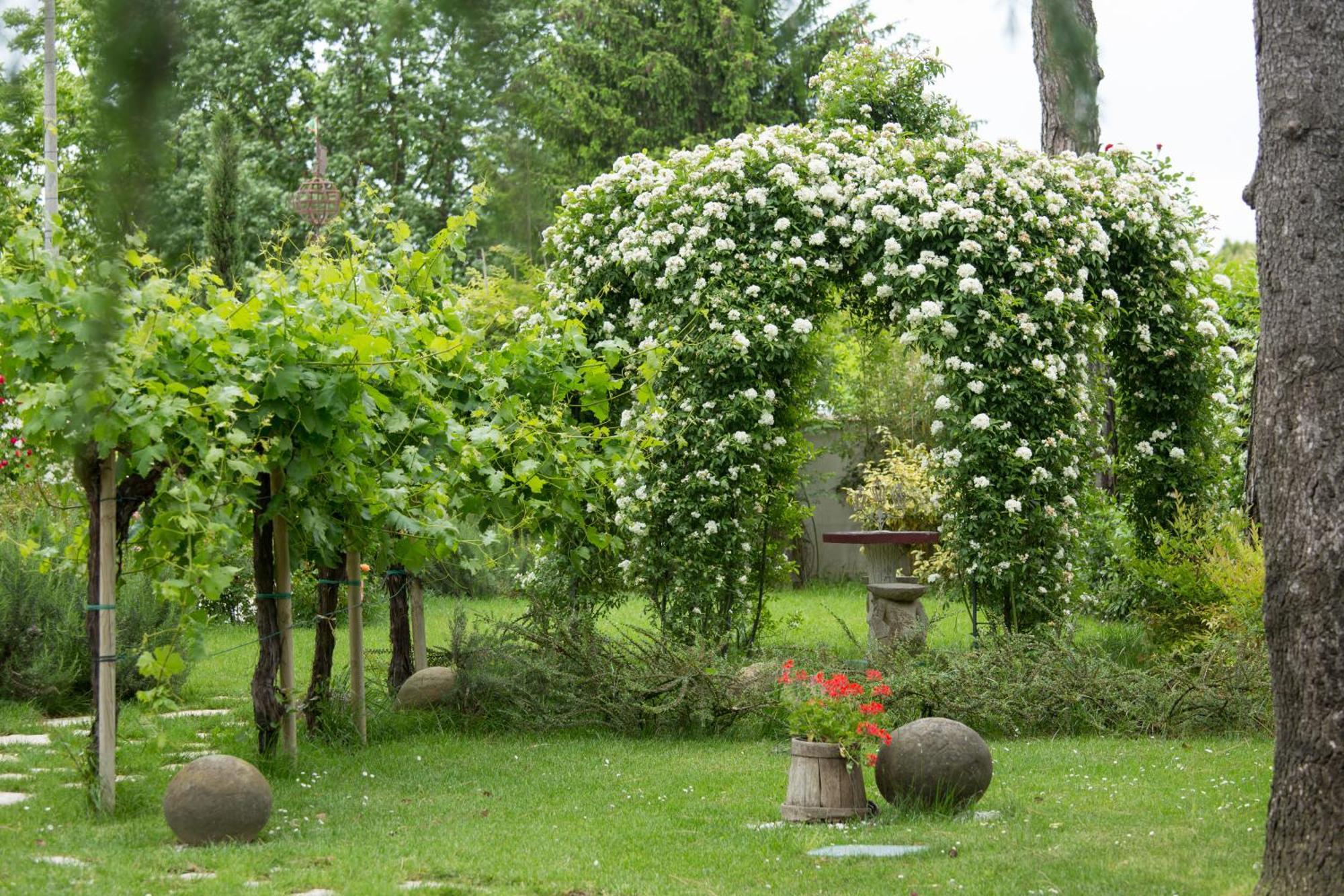 Ca'Bevilacqua Bed&Breakfast Bertinoro Buitenkant foto
