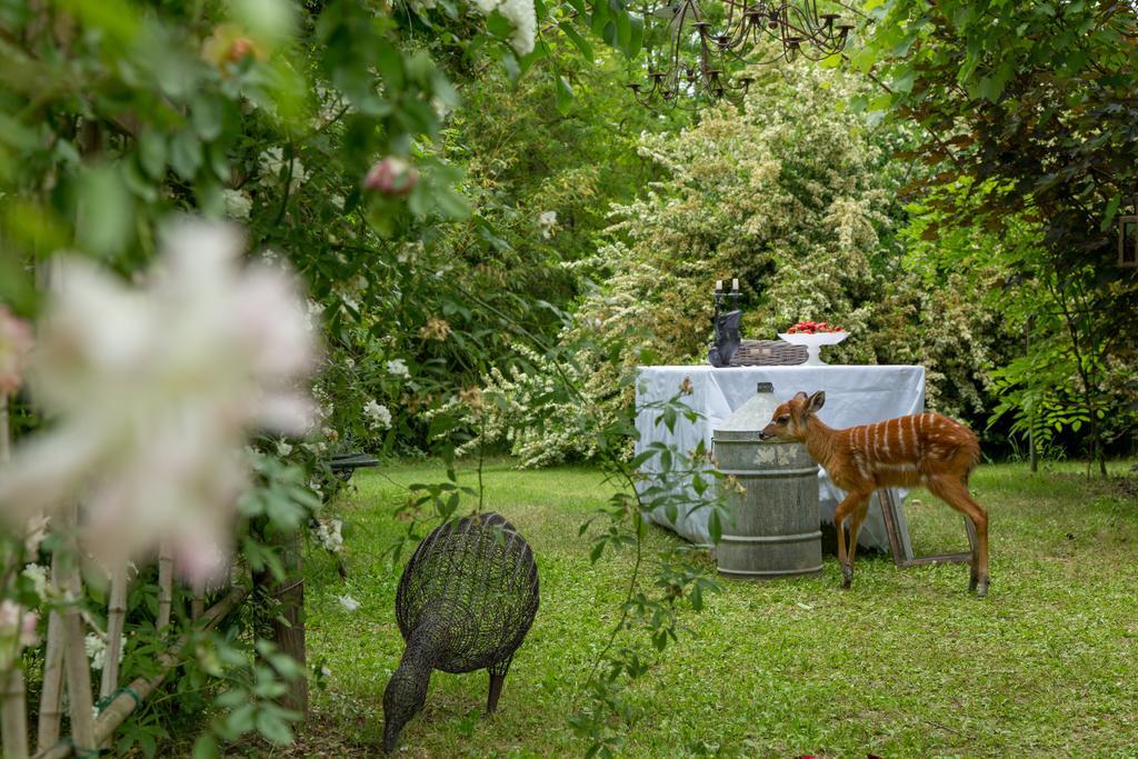 Ca'Bevilacqua Bed&Breakfast Bertinoro Buitenkant foto