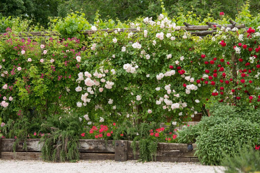 Ca'Bevilacqua Bed&Breakfast Bertinoro Buitenkant foto