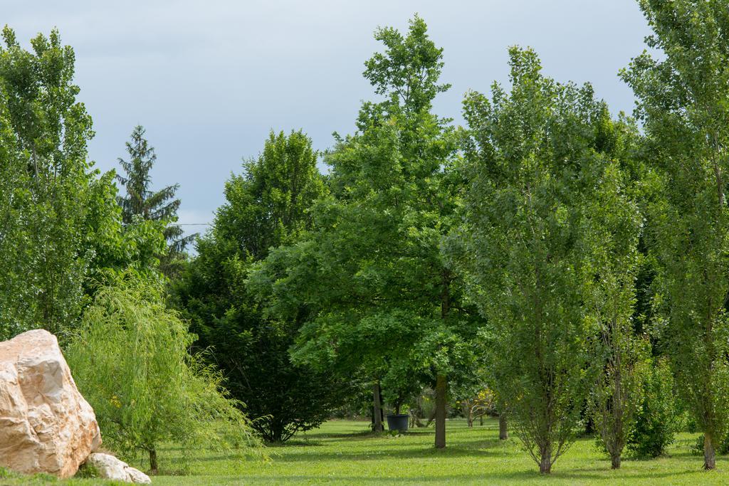 Ca'Bevilacqua Bed&Breakfast Bertinoro Buitenkant foto