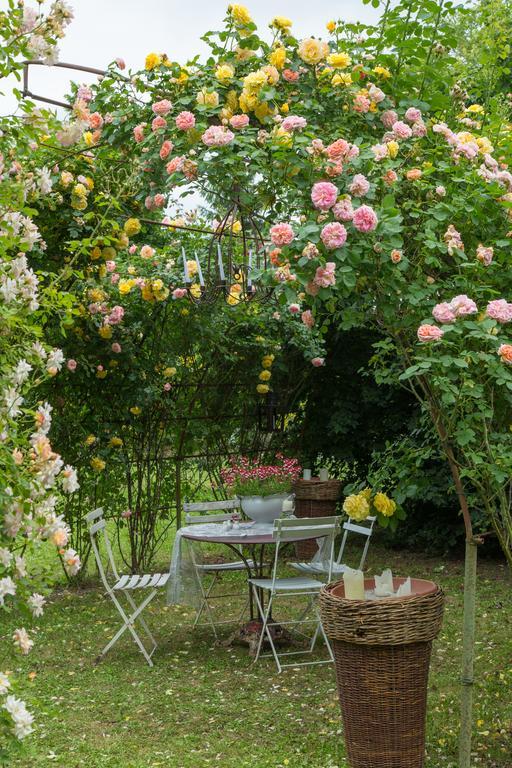 Ca'Bevilacqua Bed&Breakfast Bertinoro Buitenkant foto